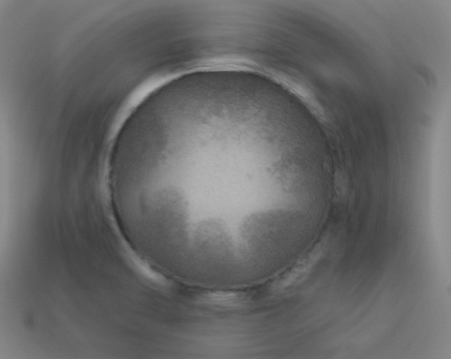 X0000114121470200910051501