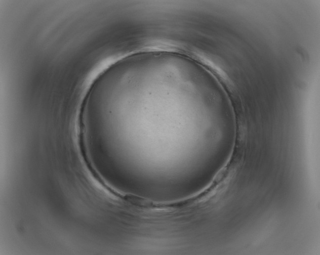 X0000114121471200910051501
