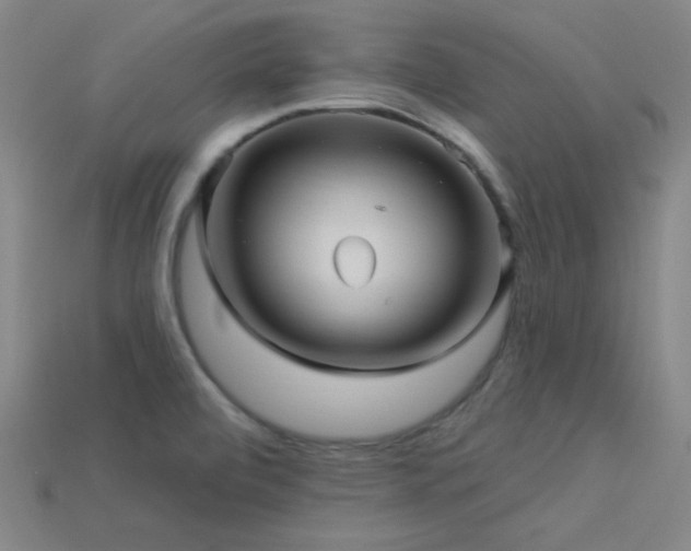 X0000114121472200910051501