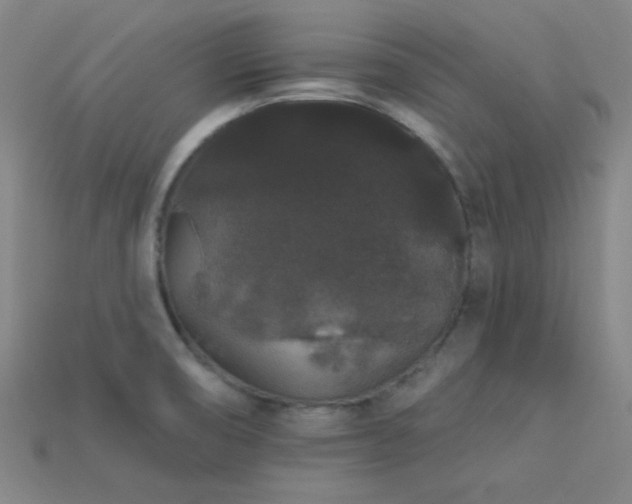X0000114121474200910051501