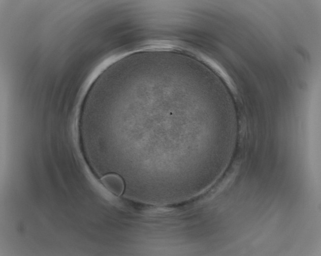 X0000114121475200910051501