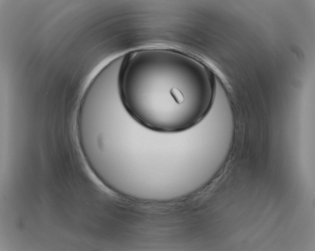 X0000114121476200910051501