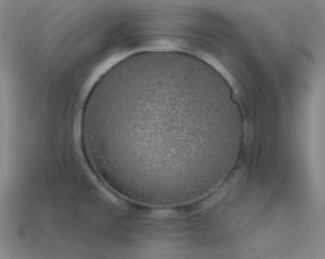 X0000114121477200910051501