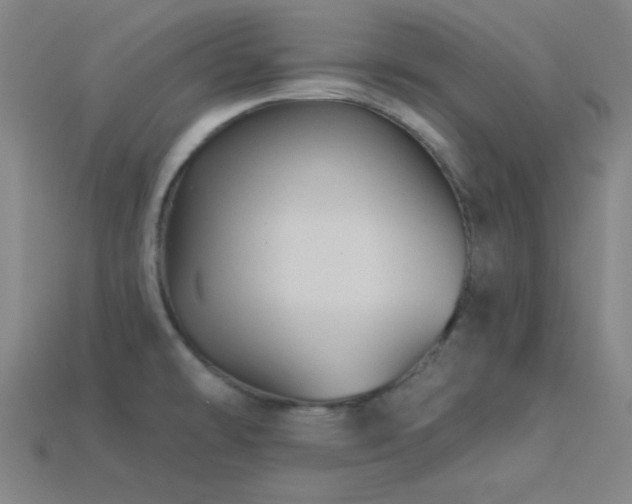 X0000114121478200910051501