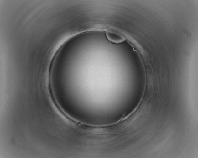 X0000114121479200910051501