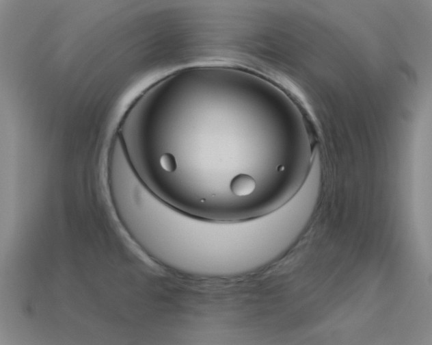 X0000114121480200910051501