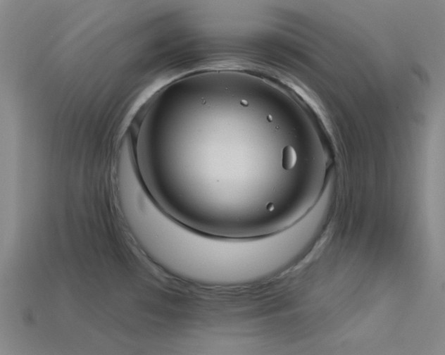 X0000114121481200910051501