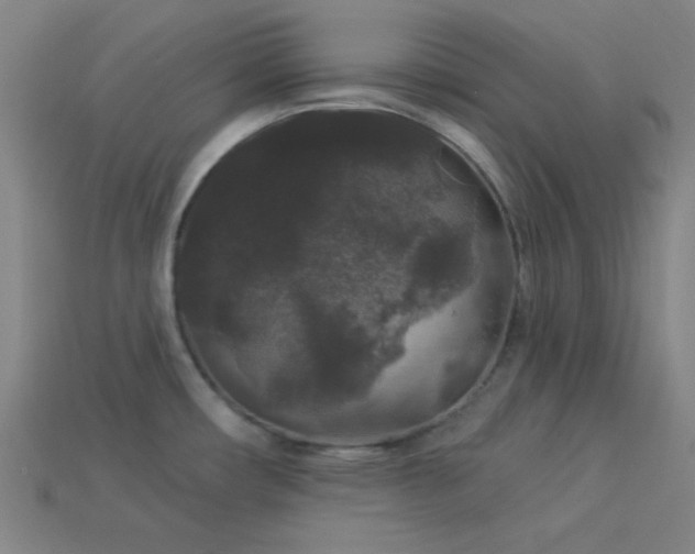 X0000114121482200910051501