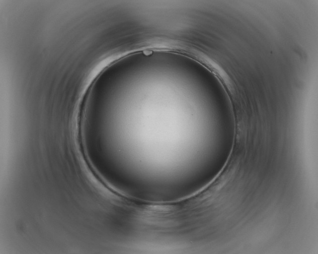 X0000114121483200910051501