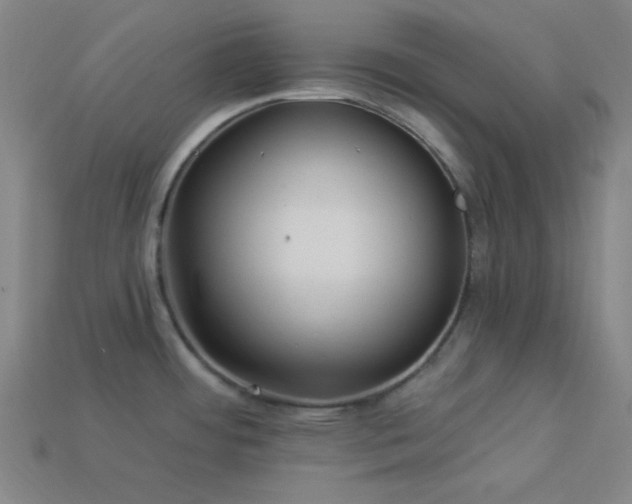 X0000114121484200910051501