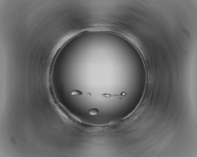 X0000114121485200910051501