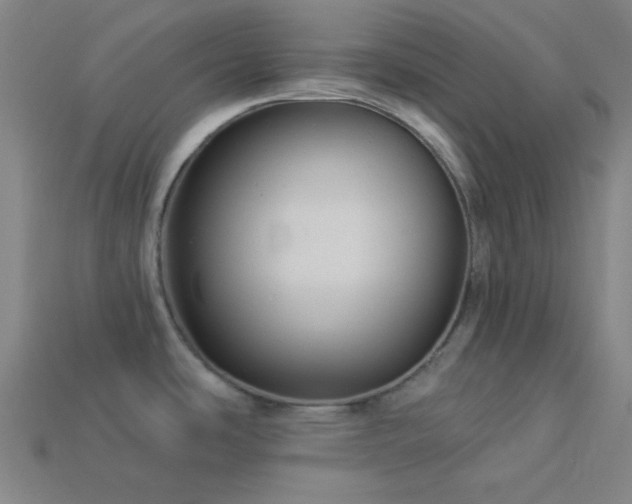 X0000114121486200910051501