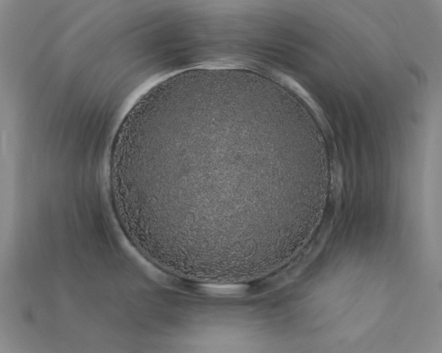 X0000114121487200910051501