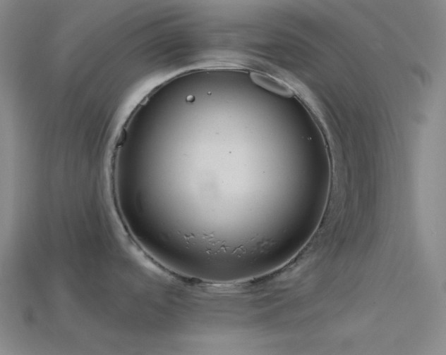 X0000114121488200910051501