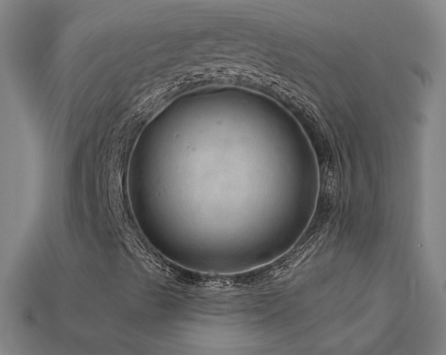 X0000114121489200910051500