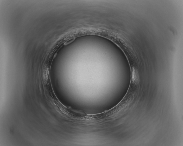X0000114121492200910051500