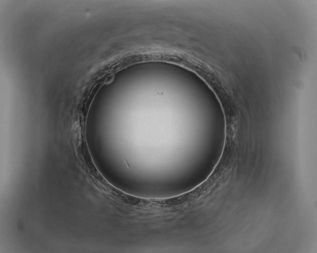 X0000114121493200910051500