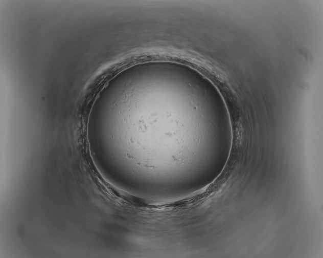 X0000114121494200910051500