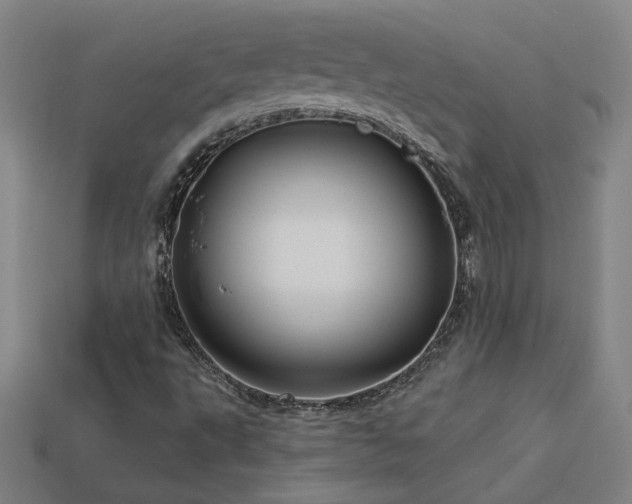 X0000114121495200910051500