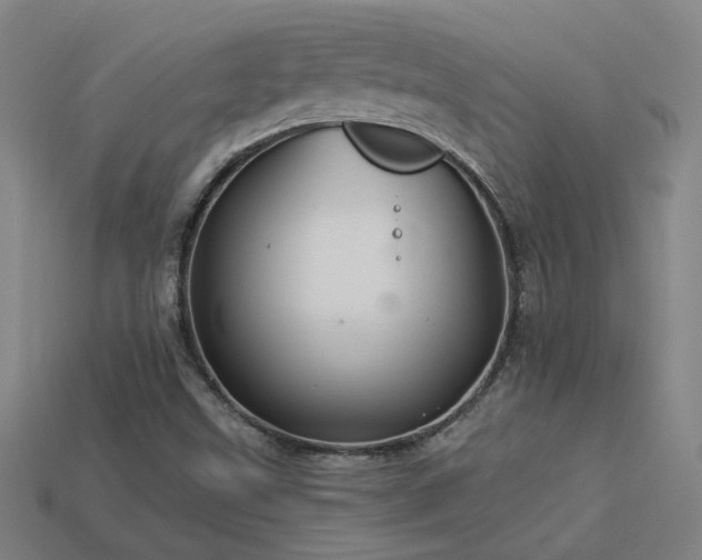 X0000114121499200910051500