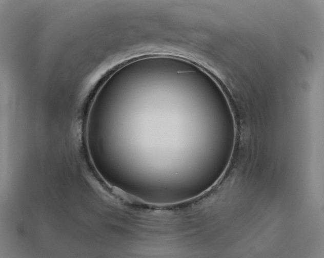 X0000114121503200910051500