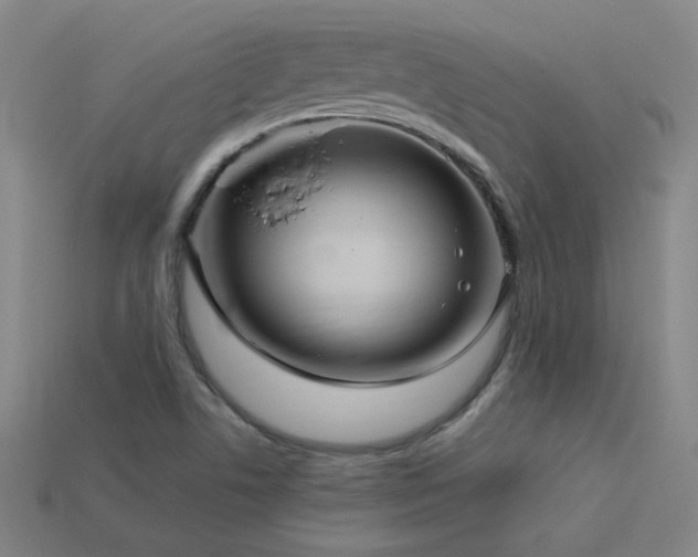 X0000114121506200910051500