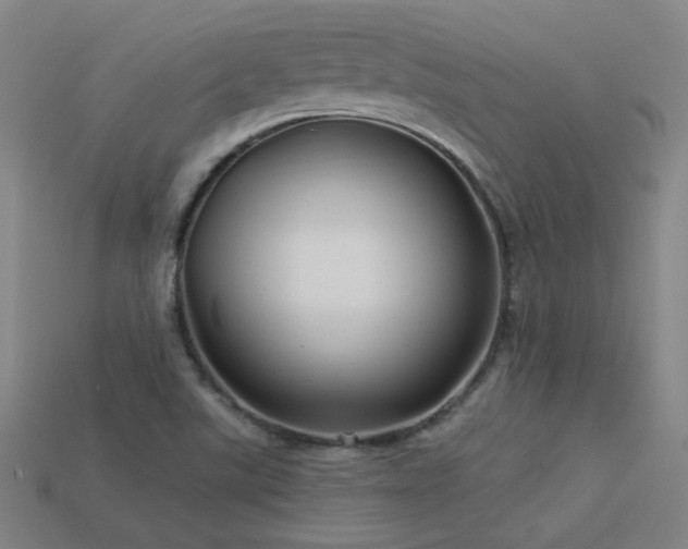 X0000114121507200910051500