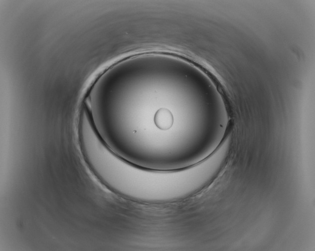 X0000114121508200910051500