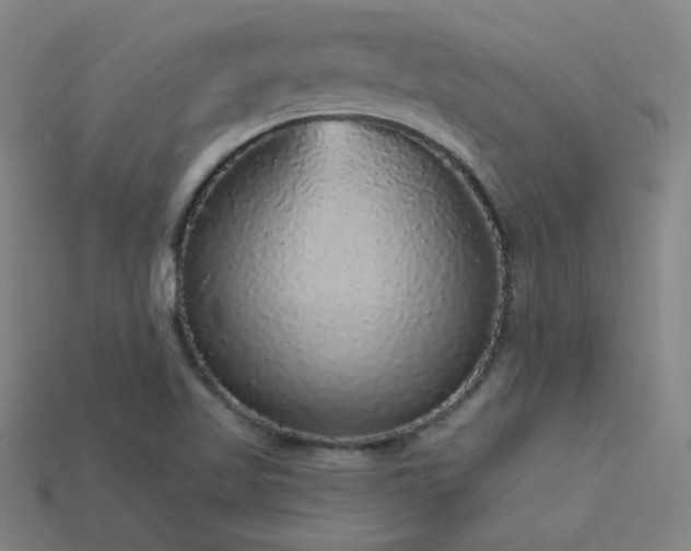 X0000114121509200910051500