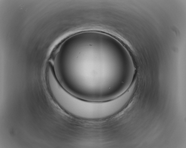 X0000114121510200910051500