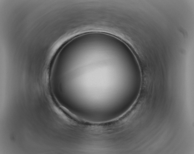 X0000114121511200910051500