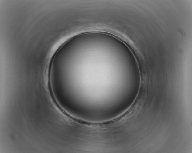 X0000114121512200910051500