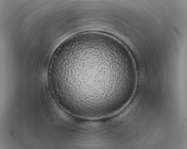 X0000114121513200910051500