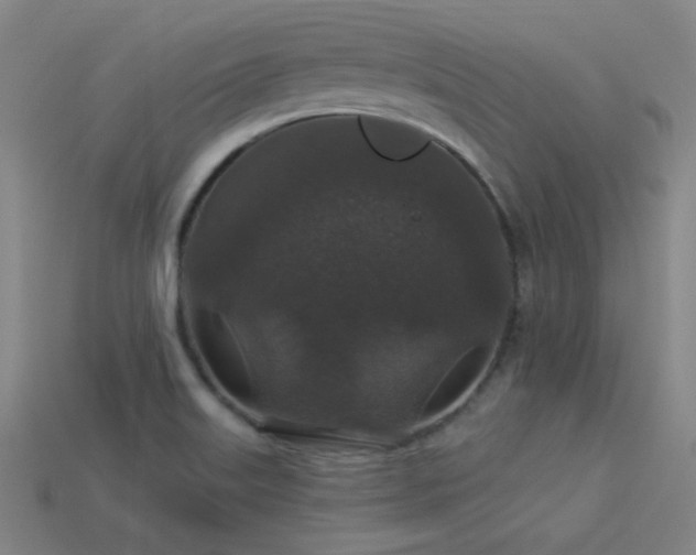 X0000114121515200910051500