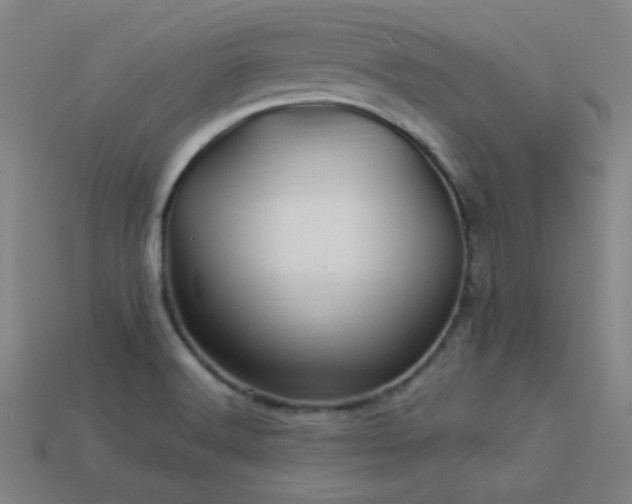 X0000114121516200910051500