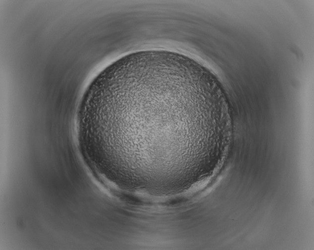 X0000114121517200910051501