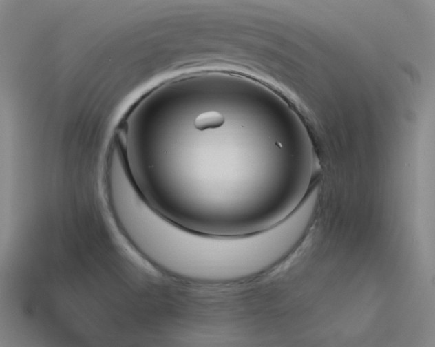 X0000114121518200910051501