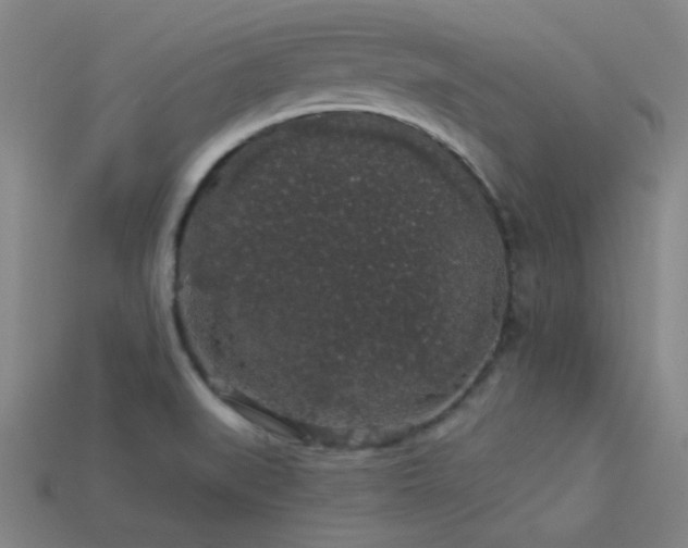 X0000114121519200910051501