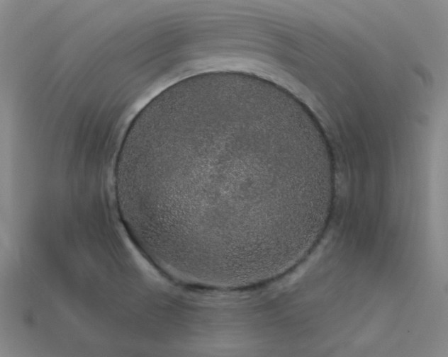 X0000114121521200910051501