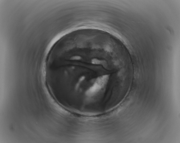 X0000114121522200910051501