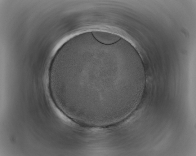 X0000114121523200910051501