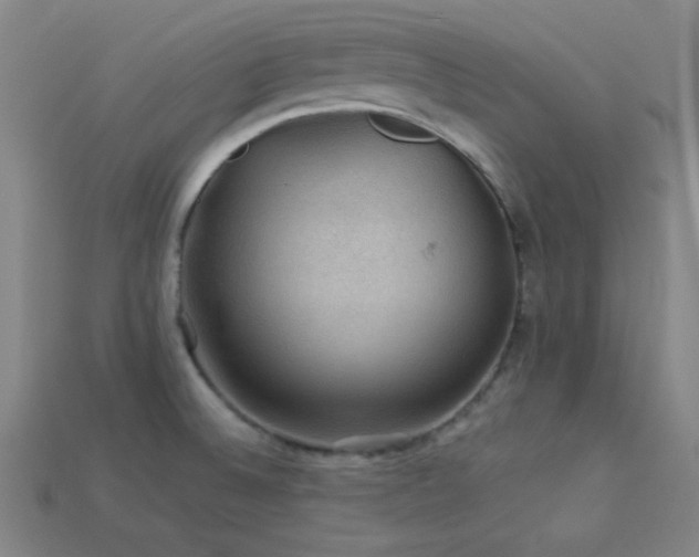 X0000114121524200910051501
