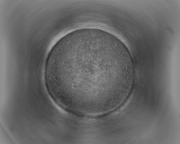 X0000114121525200910051501