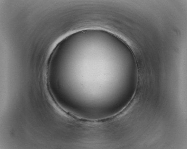X0000114121526200910051501