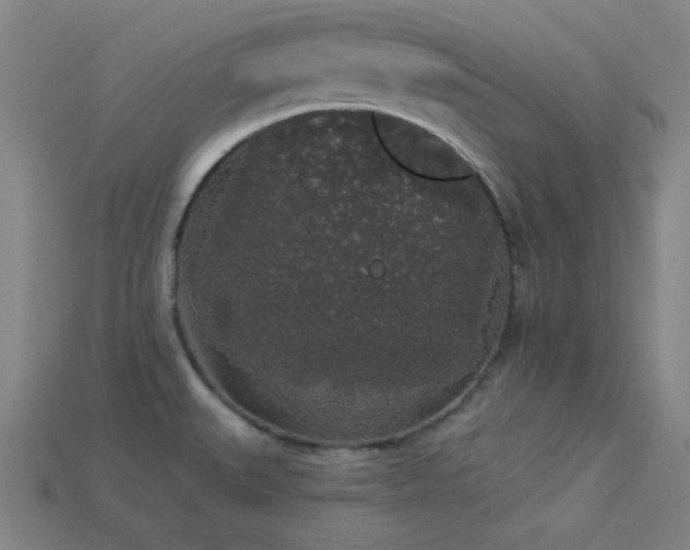 X0000114121527200910051501