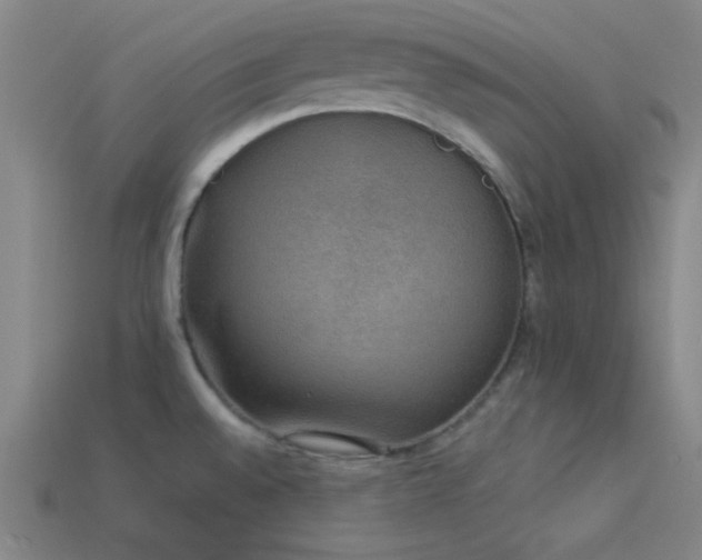 X0000114121528200910051501