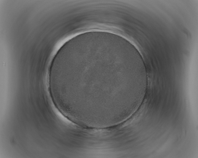 X0000114121531200910051501
