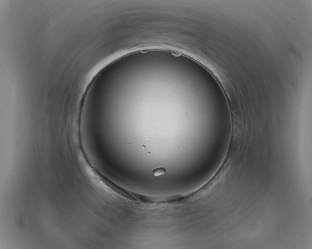 X0000114121534200910051501