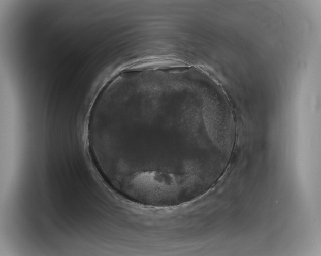 X0000114120002200910131413