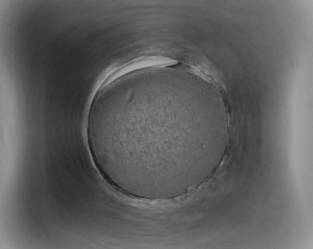 X0000114120003200910131413